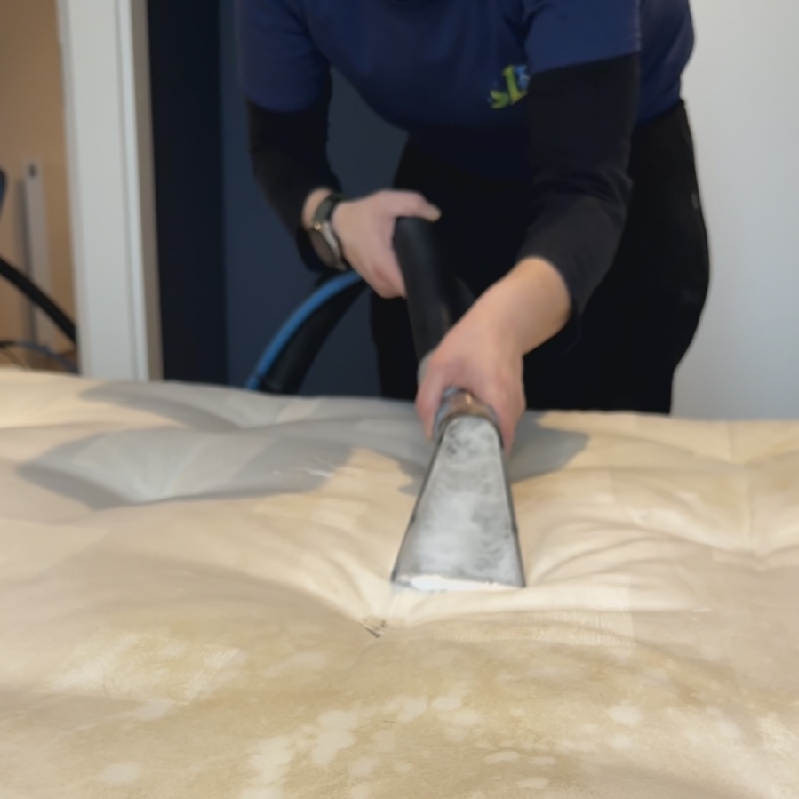 Why It’s Important to Clean Your Mattress Regularly